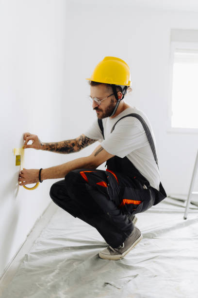 Best Drywall Removal and Disposal  in Flat Rock, NC